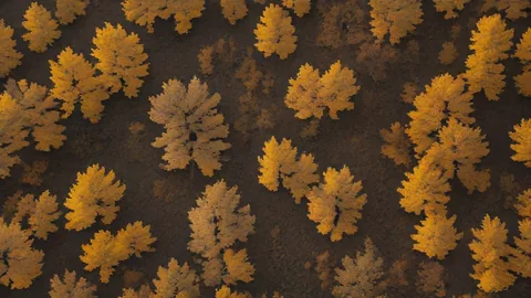 PsyCap nelle vendite: aumenta il raggiungimento obiettivi del 24%